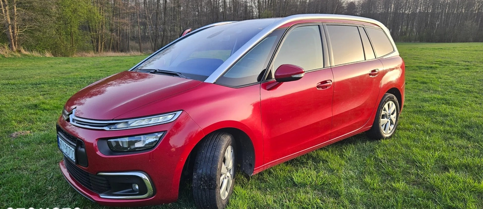 Citroen C4 Picasso cena 41000 przebieg: 203852, rok produkcji 2017 z Kłecko małe 67